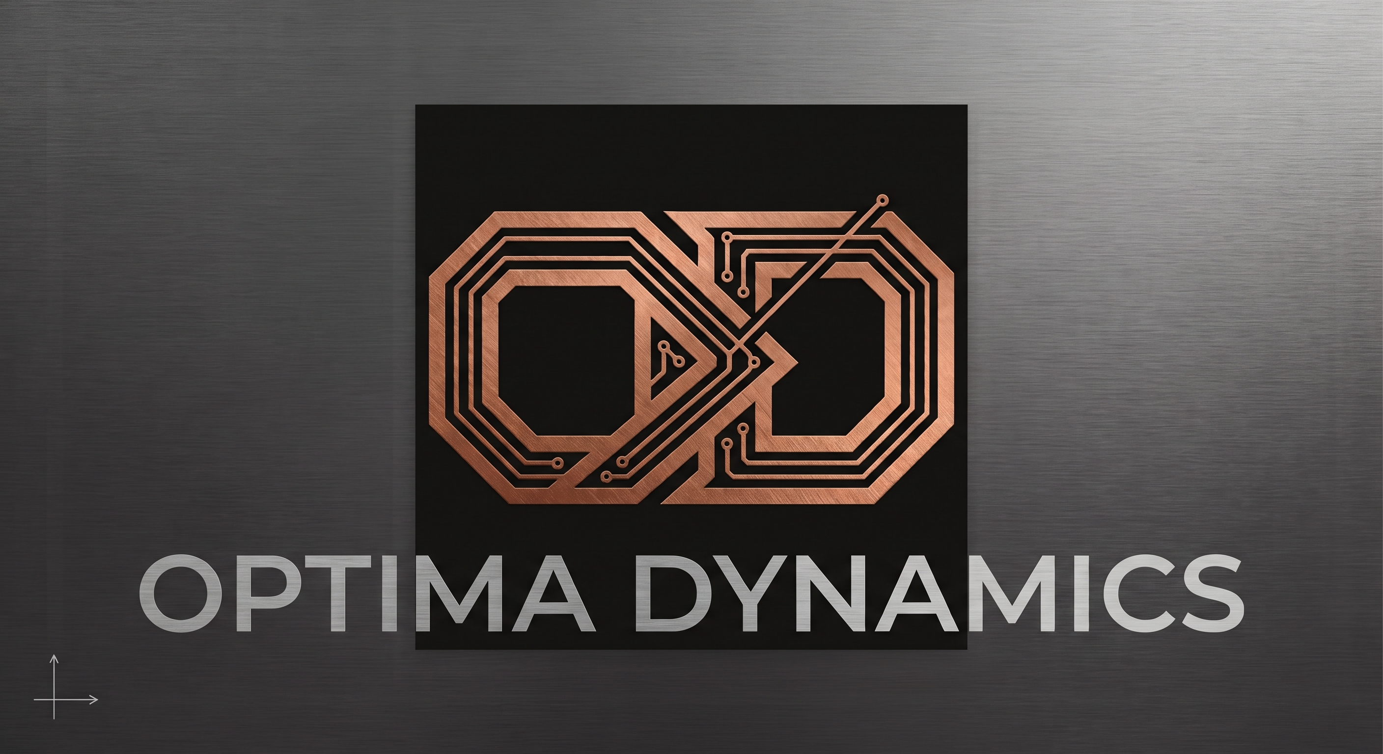 Optima Dynamics